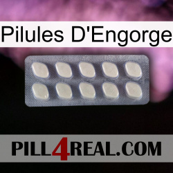 Engorge Pills
